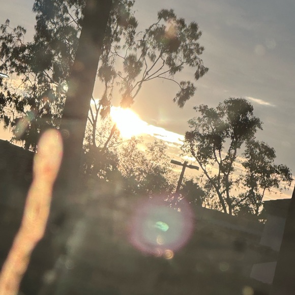 Meet your Posher, Ann - Picture 1 of 1